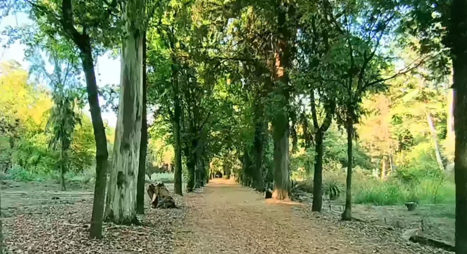 Viveros de Coyoacan Park